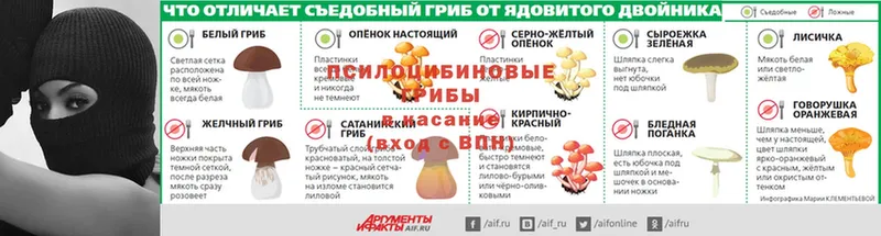 Псилоцибиновые грибы ЛСД  дарнет шоп  Апатиты 